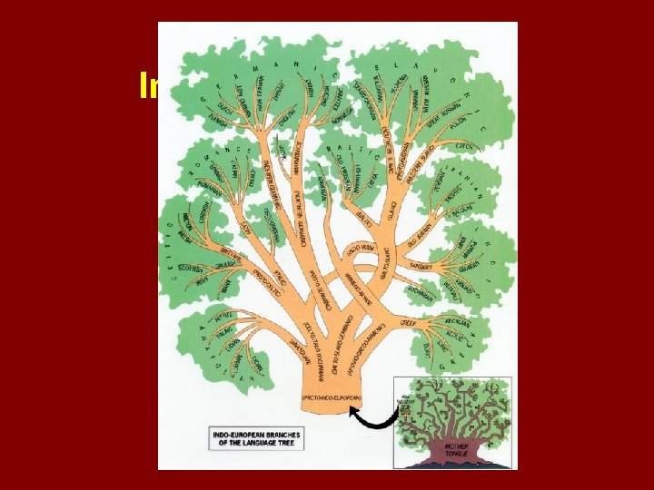 Indo-European Group 