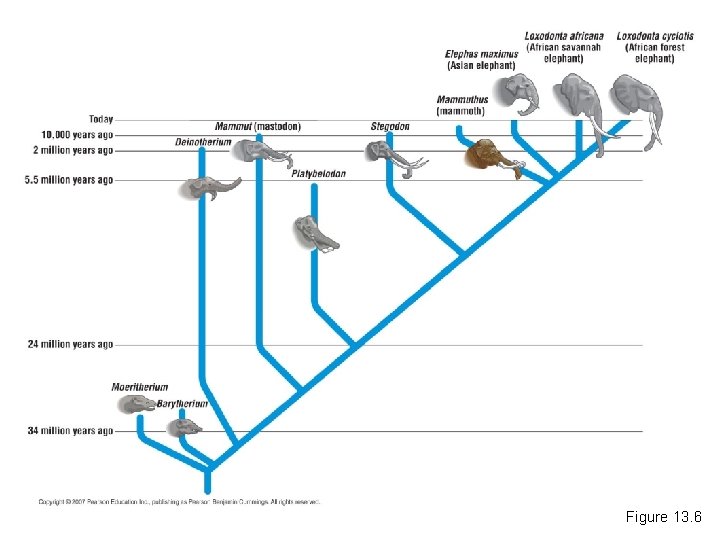 Figure 13. 6 