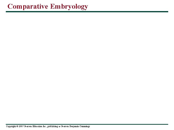 Comparative Embryology Copyright © 2007 Pearson Education Inc. , publishing as Pearson Benjamin Cummings