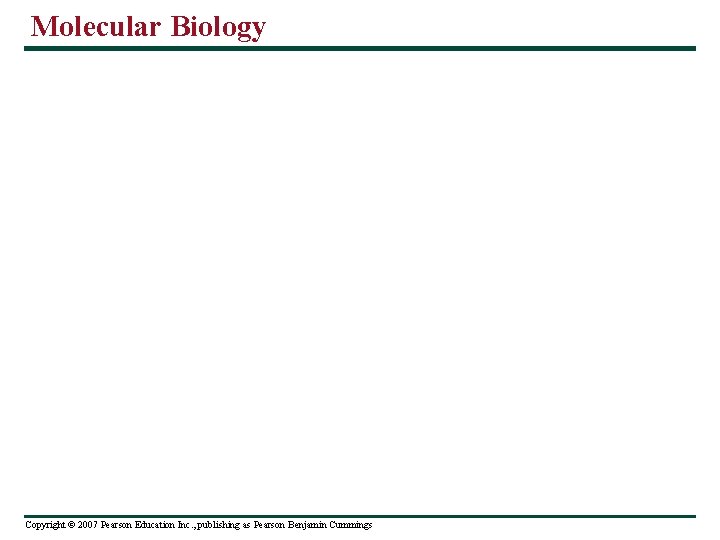 Molecular Biology Copyright © 2007 Pearson Education Inc. , publishing as Pearson Benjamin Cummings