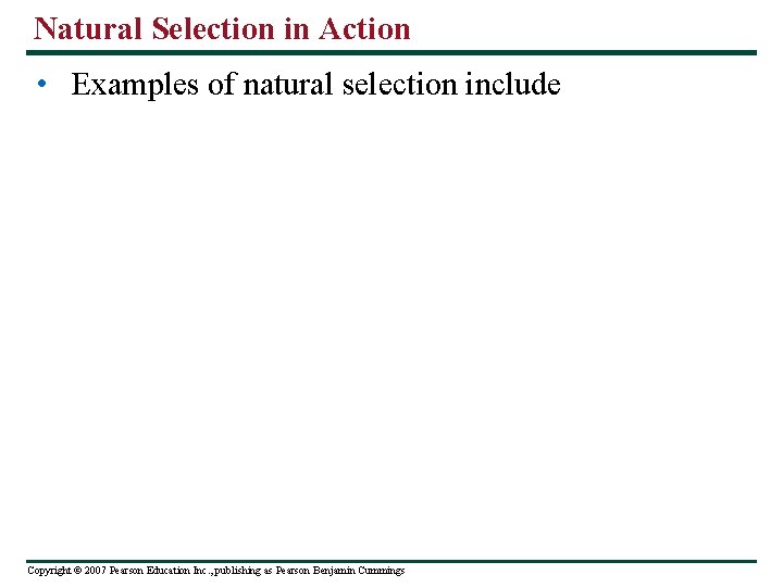 Natural Selection in Action • Examples of natural selection include Copyright © 2007 Pearson