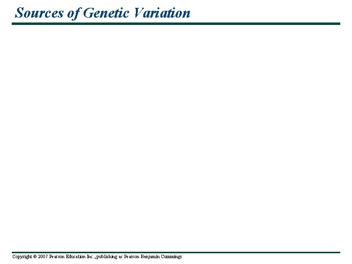 Sources of Genetic Variation Copyright © 2007 Pearson Education Inc. , publishing as Pearson