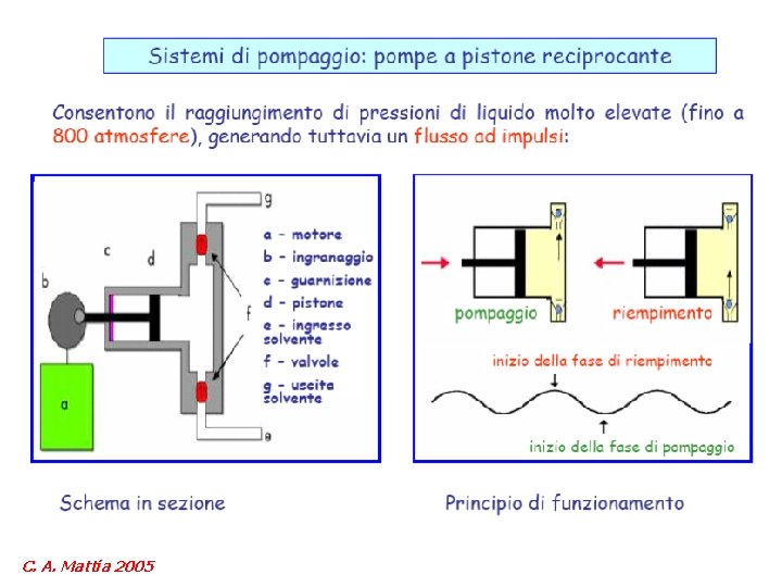 C. A. Mattia 2005 