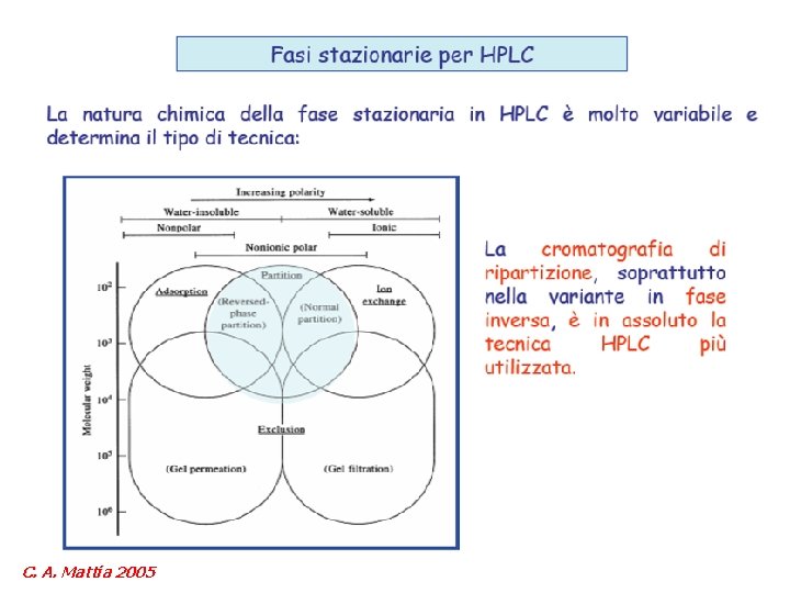 C. A. Mattia 2005 