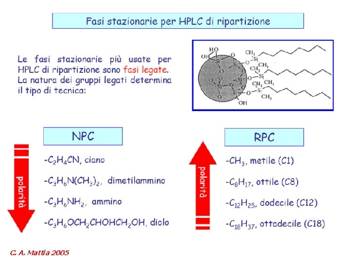 C. A. Mattia 2005 