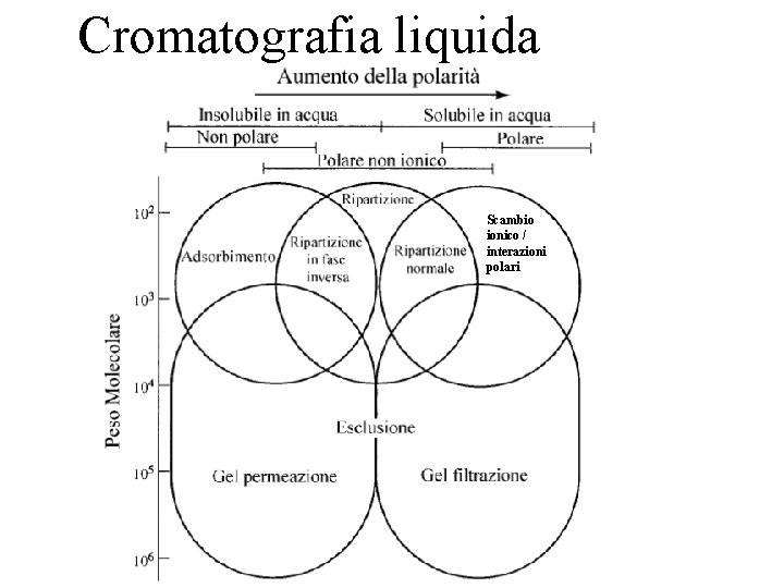 Cromatografia liquida Scambio ionico / interazioni polari 