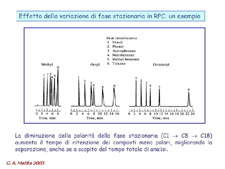 C. A. Mattia 2005 