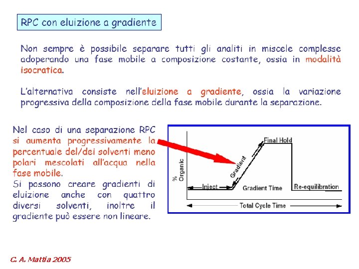 C. A. Mattia 2005 