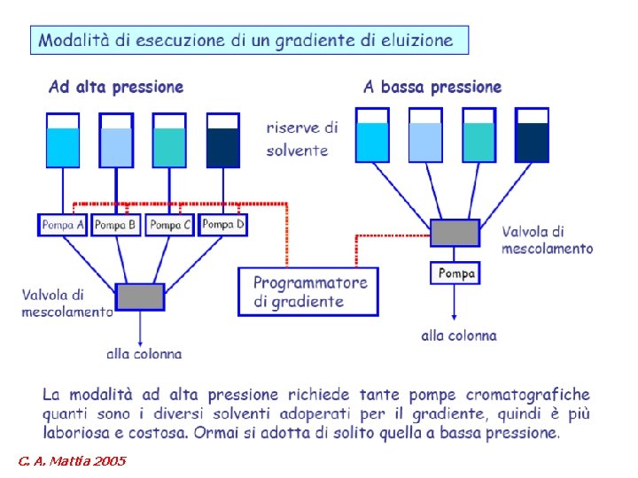 C. A. Mattia 2005 