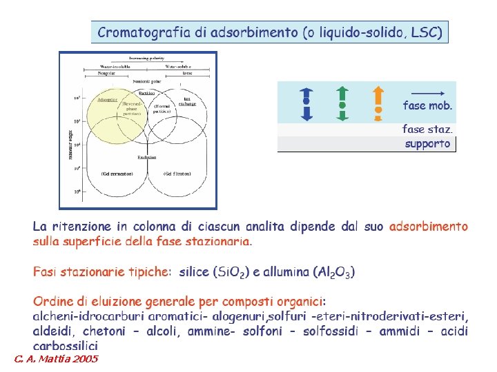 C. A. Mattia 2005 