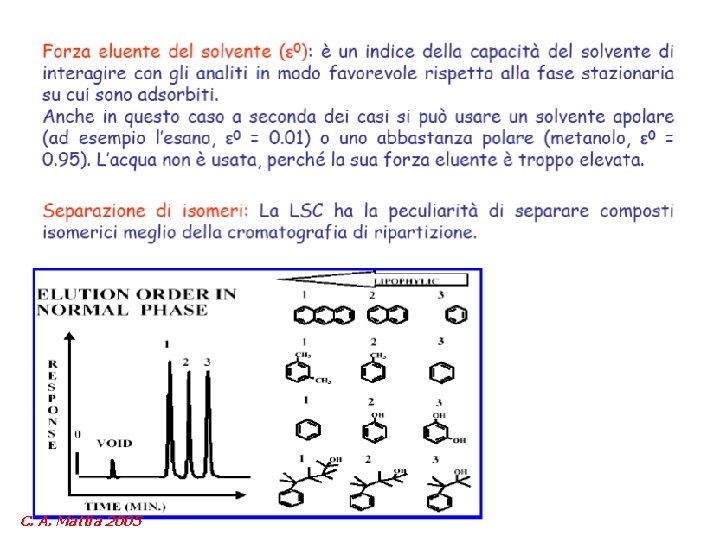 C. A. Mattia 2005 