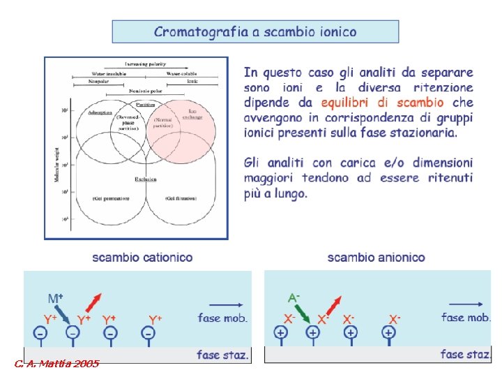 C. A. Mattia 2005 