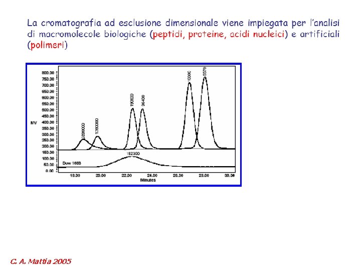 C. A. Mattia 2005 