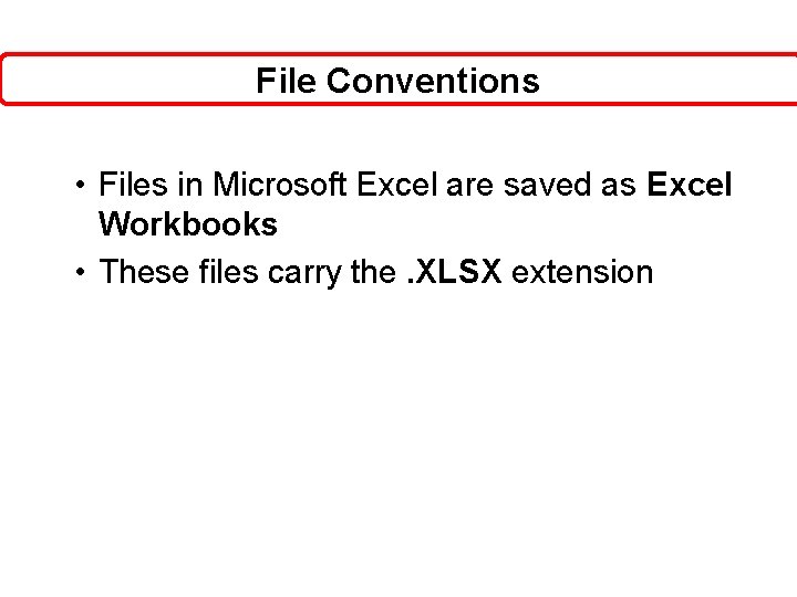 File Conventions • Files in Microsoft Excel are saved as Excel Workbooks • These