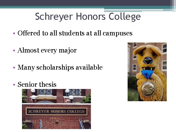 Schreyer Honors College • Offered to all students at all campuses • Almost every