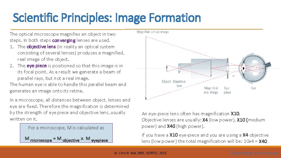 Scientific Principles: Image Formation The optical microscope magnifies an object in two steps. In