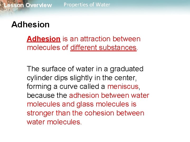 Lesson Overview Properties of Water Adhesion is an attraction between molecules of different substances.