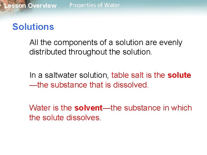 Lesson Overview Properties of Water Solutions All the components of a solution are evenly