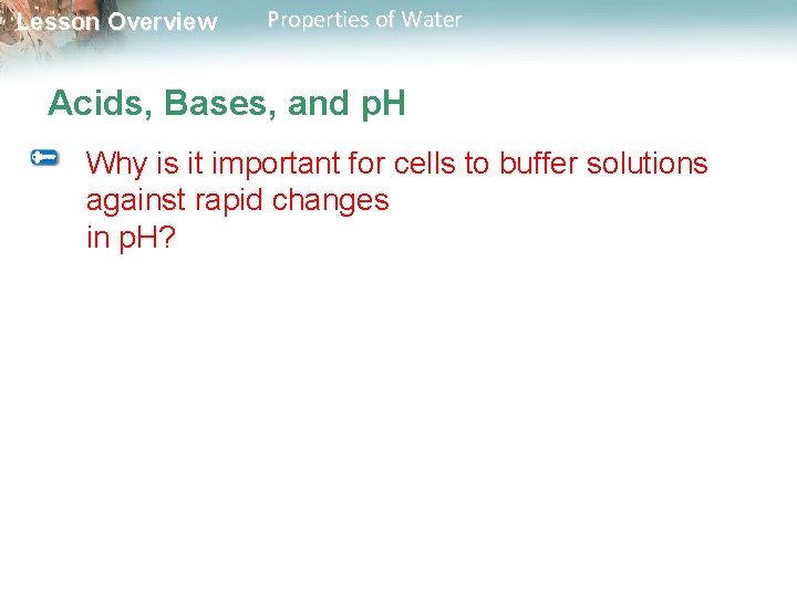 Lesson Overview Properties of Water Acids, Bases, and p. H Why is it important