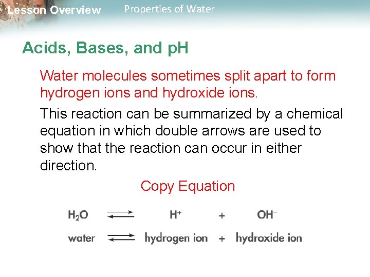 Lesson Overview Properties of Water Acids, Bases, and p. H Water molecules sometimes split