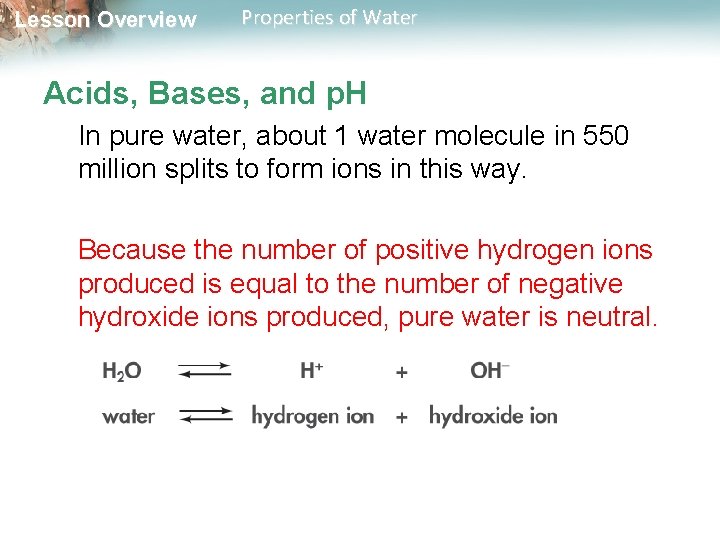 Lesson Overview Properties of Water Acids, Bases, and p. H In pure water, about