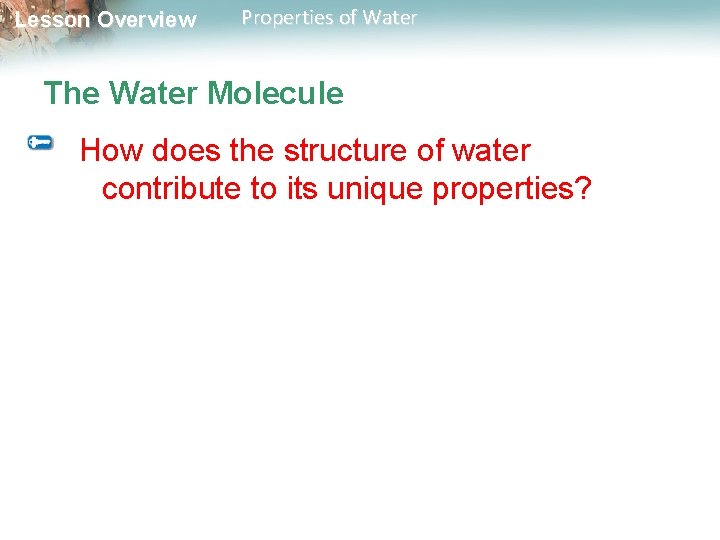 Lesson Overview Properties of Water The Water Molecule How does the structure of water