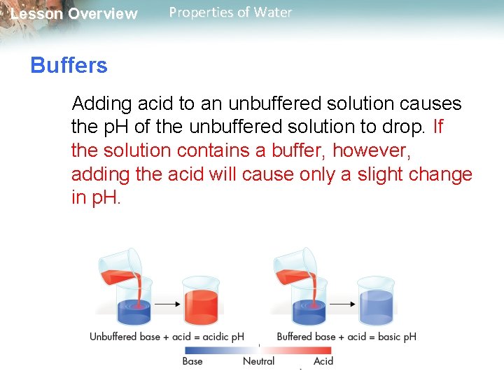 Lesson Overview Properties of Water Buffers Adding acid to an unbuffered solution causes the