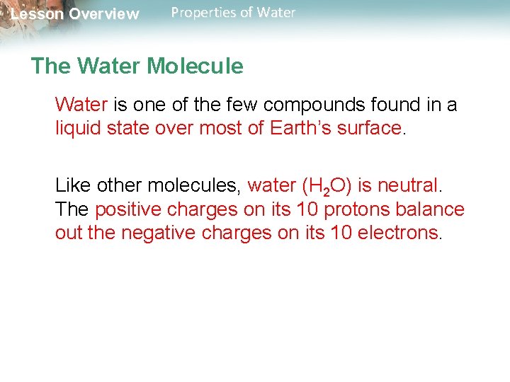 Lesson Overview Properties of Water The Water Molecule Water is one of the few