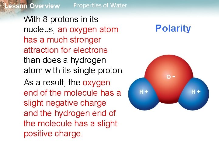 Lesson Overview Properties of Water With 8 protons in its nucleus, an oxygen atom