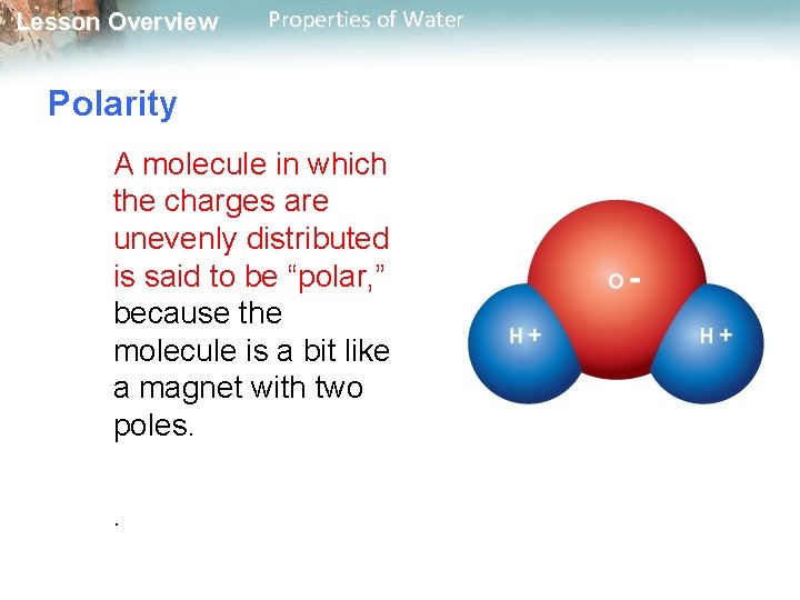 Lesson Overview Properties of Water Polarity A molecule in which the charges are unevenly