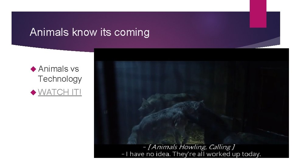 Animals know its coming Animals vs Technology WATCH IT! 