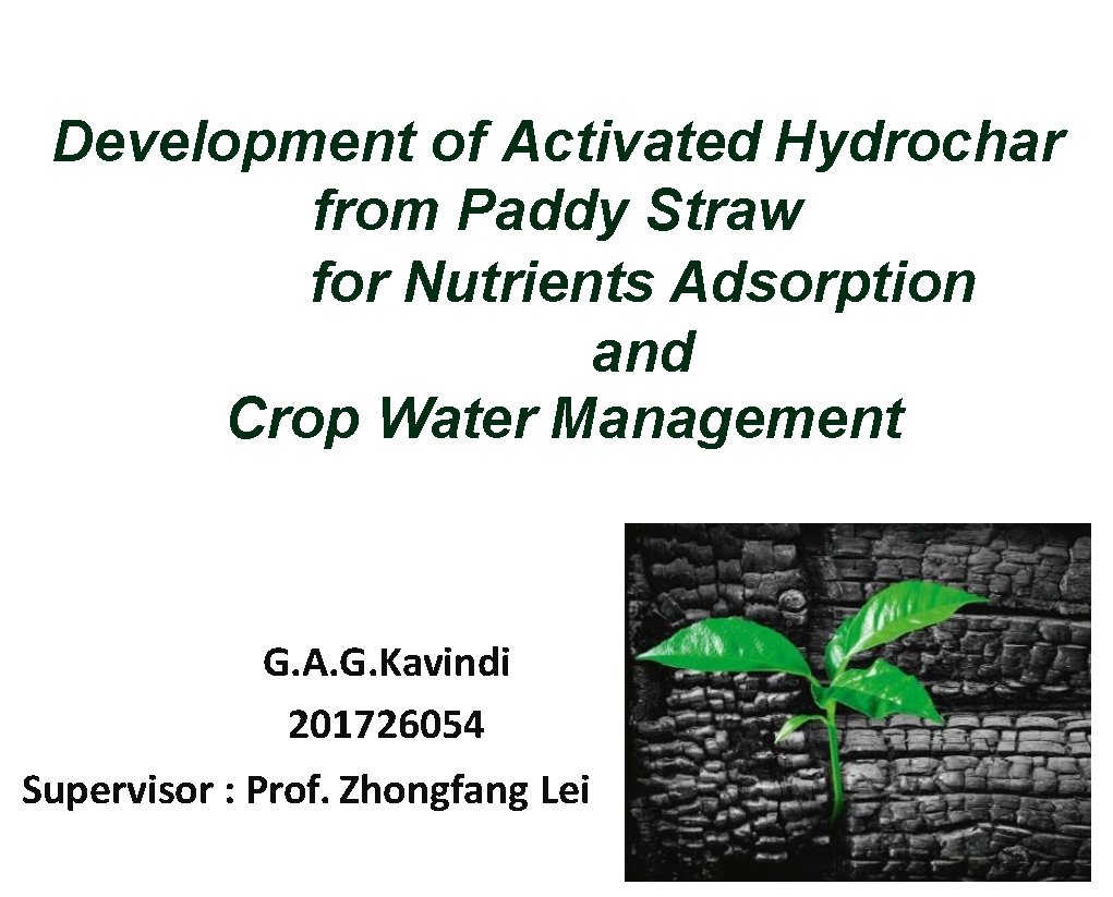 Development of Activated Hydrochar from Paddy Straw for Nutrients Adsorption and Crop Water Management