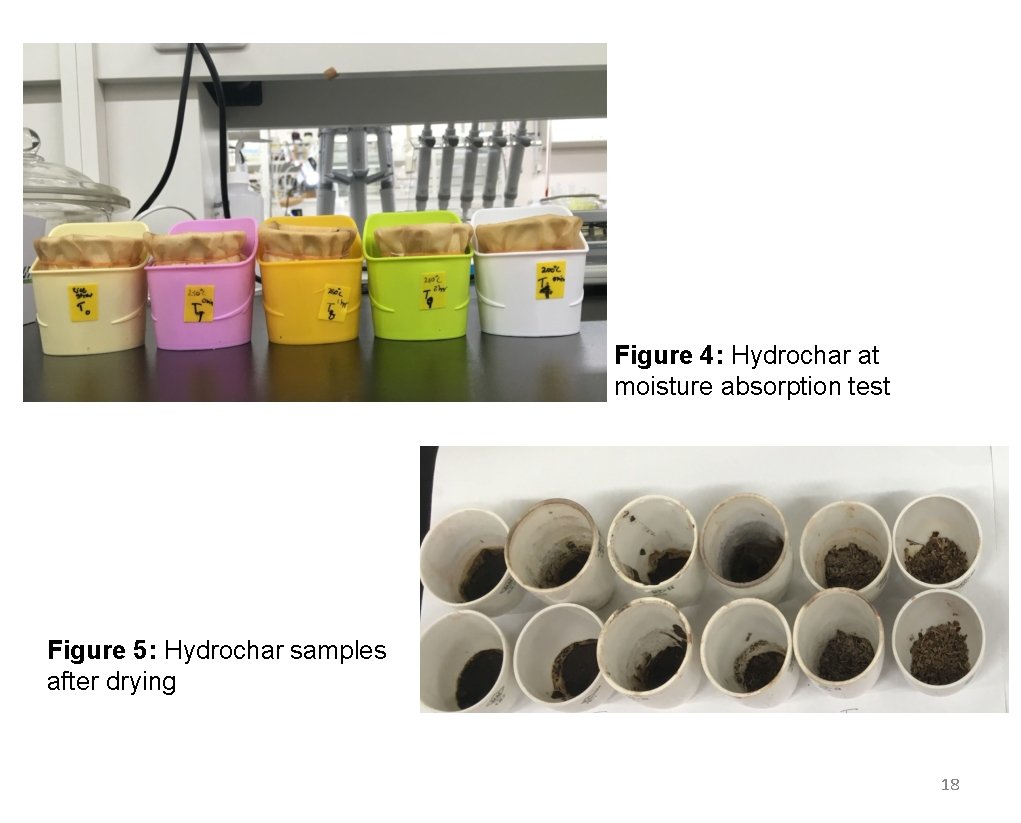 Figure 4: Hydrochar at moisture absorption test Figure 5: Hydrochar samples after drying 18