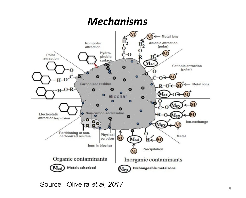 Mechanisms Source : Oliveira et. al, 2017 5 