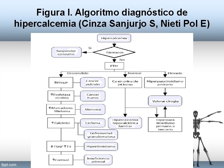 Figura I. Algoritmo diagnóstico de hipercalcemia (Cinza Sanjurjo S, Nieti Pol E) 