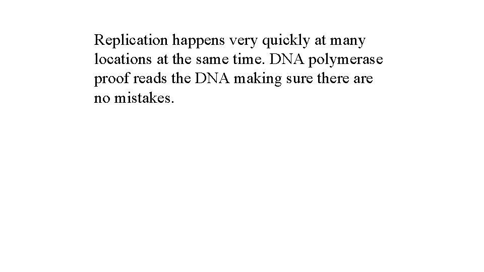 Replication happens very quickly at many locations at the same time. DNA polymerase proof