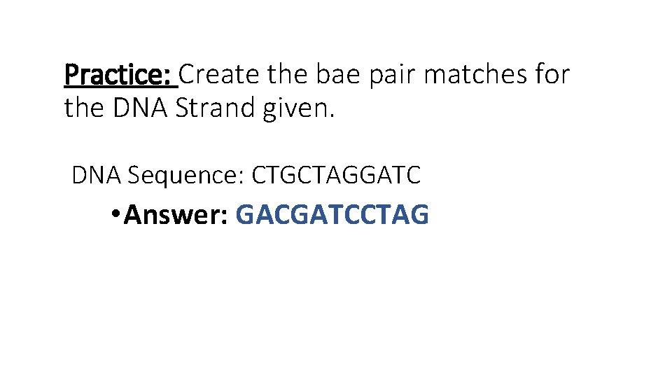 Practice: Create the bae pair matches for the DNA Strand given. DNA Sequence: CTGCTAGGATC