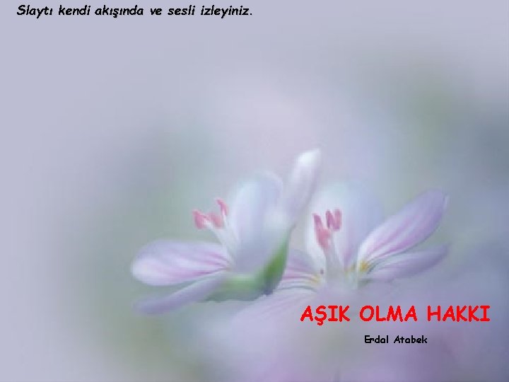 Slaytı kendi akışında ve sesli izleyiniz. AŞIK OLMA HAKKI Erdal Atabek 