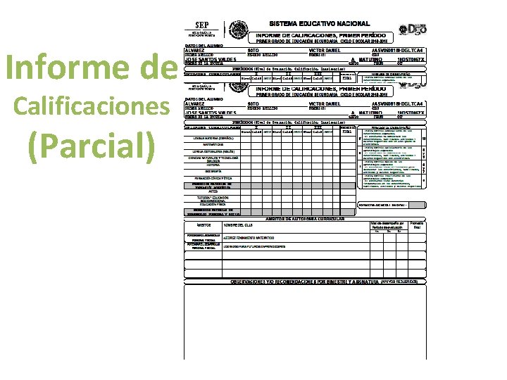 Informe de Calificaciones (Parcial) 