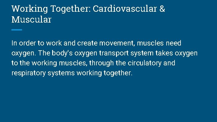 Working Together: Cardiovascular & Muscular In order to work and create movement, muscles need