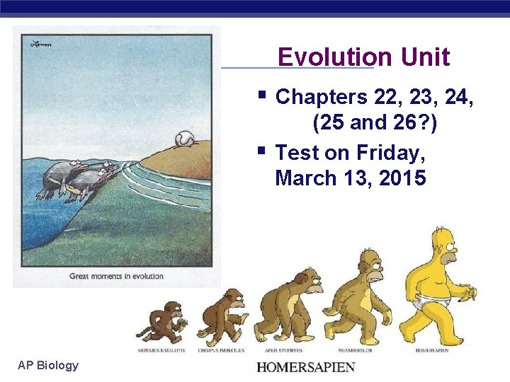 Evolution Unit § Chapters 22, 23, 24, § AP Biology (25 and 26? )