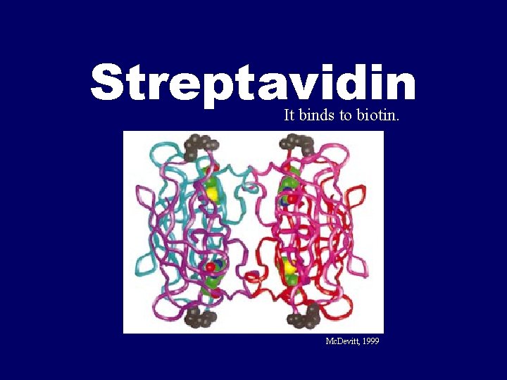 Streptavidin It binds to biotin. Mc. Devitt, 1999 