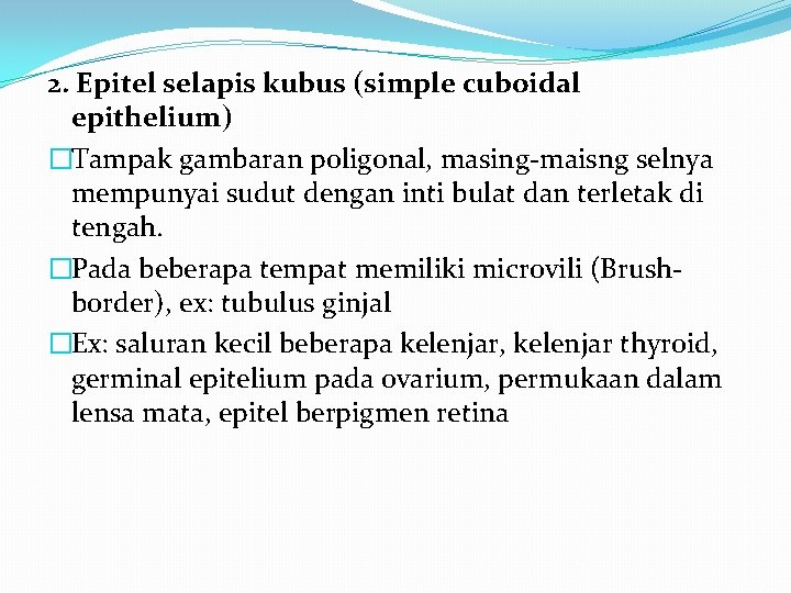 2. Epitel selapis kubus (simple cuboidal epithelium) �Tampak gambaran poligonal, masing-maisng selnya mempunyai sudut