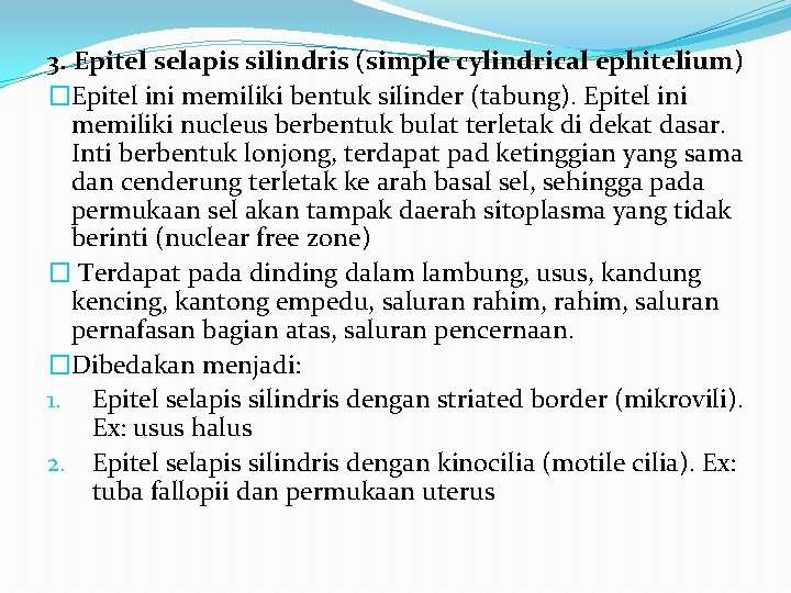 3. Epitel selapis silindris (simple cylindrical ephitelium) �Epitel ini memiliki bentuk silinder (tabung). Epitel