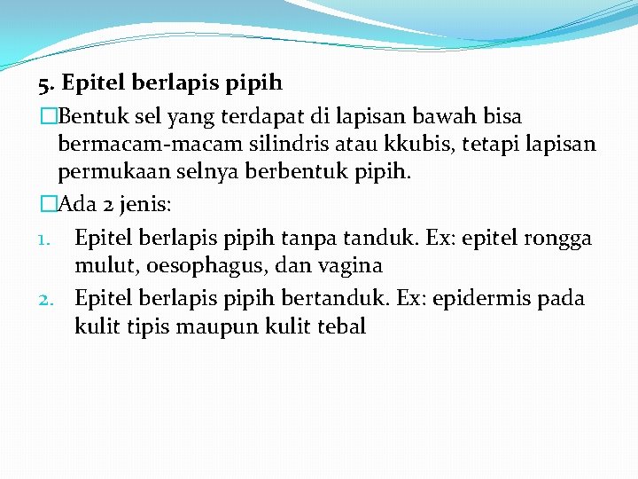 5. Epitel berlapis pipih �Bentuk sel yang terdapat di lapisan bawah bisa bermacam-macam silindris