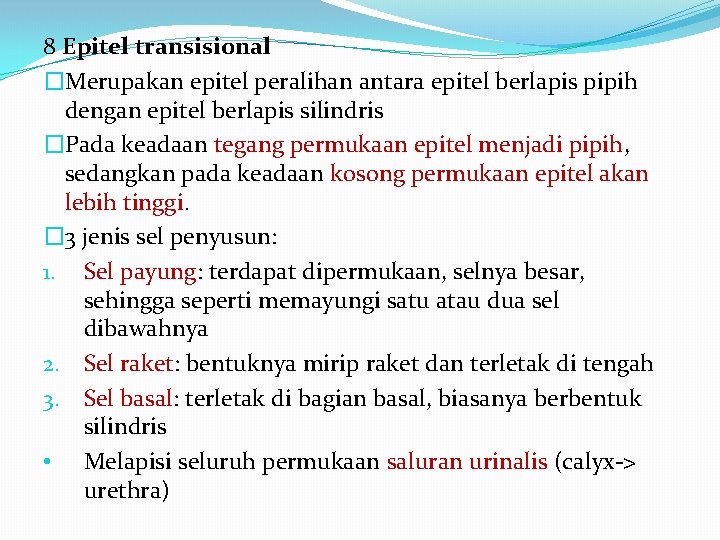 8 Epitel transisional �Merupakan epitel peralihan antara epitel berlapis pipih dengan epitel berlapis silindris