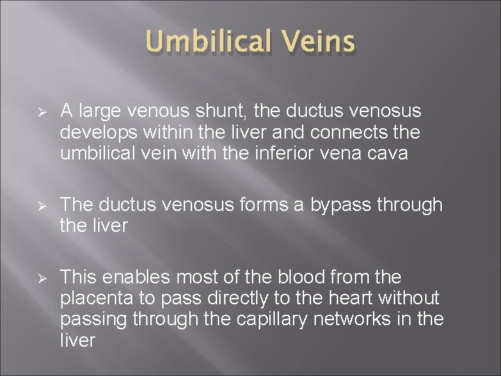 Umbilical Veins Ø A large venous shunt, the ductus venosus develops within the liver