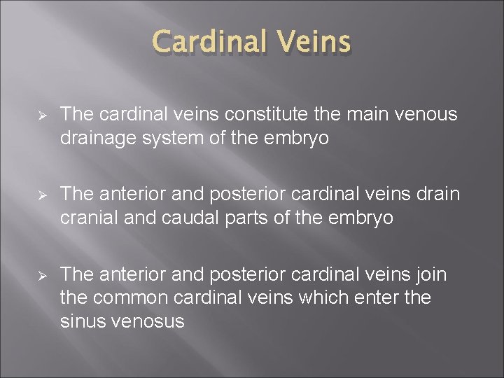 Cardinal Veins Ø The cardinal veins constitute the main venous drainage system of the