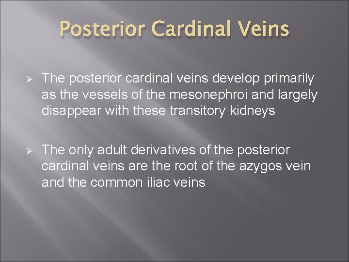 Posterior Cardinal Veins Ø The posterior cardinal veins develop primarily as the vessels of