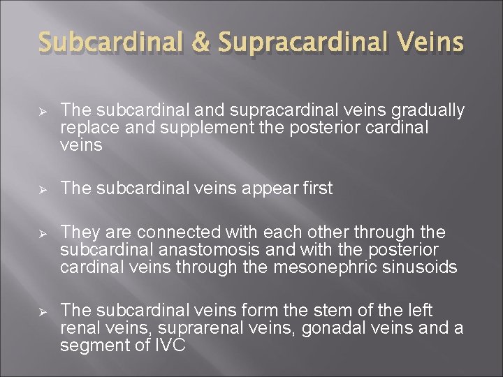 Subcardinal & Supracardinal Veins Ø The subcardinal and supracardinal veins gradually replace and supplement